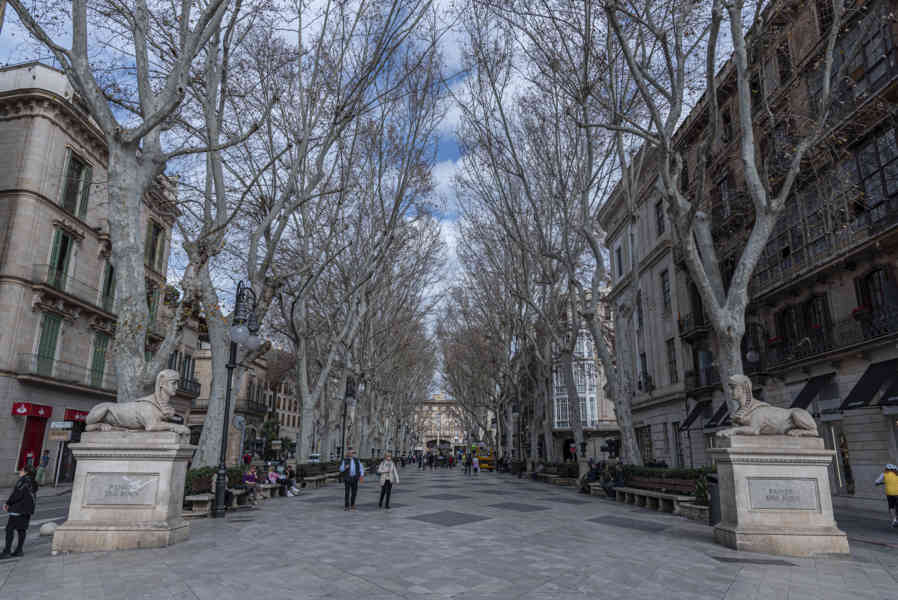 Mallorca - Palma 094 - Passeig del Born.jpg